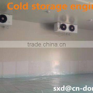 Cold Store for Fruit and Vegetable Design photo-2