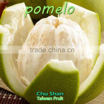 Taiwan Hot Sale Fresh Pomelo photo-6