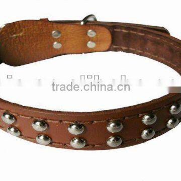 fashion leather dog collar