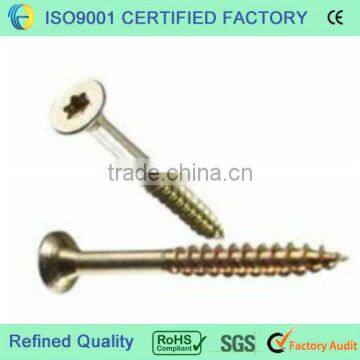 Torx screw