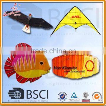 BSCI audit kaixuan factory kites for sales