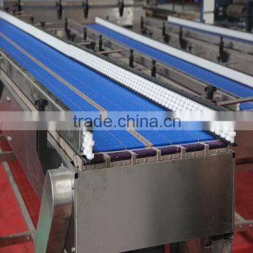 Roller Chain Conveyor System for Accumulation Application photo-3