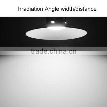 Hot Sale Retail Modern Restaurant Ceiling Light 20W 30W 35W photo-3
