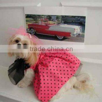 Adorable dog skirts/Pet dress