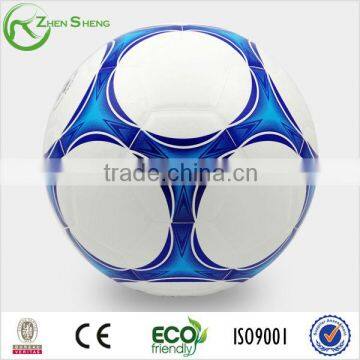 professional match soccer ball