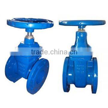 API Standard Rising Stem Cast Iron Gate Valve
