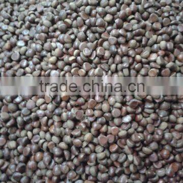 Dandong Fresh Chestnut 40-60 Fresh Chinese Chestnut for Sale photo-3