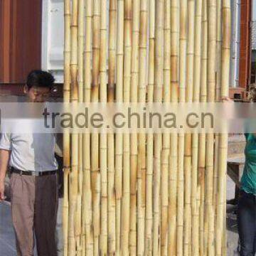 Modern Design Bamboo Fence China