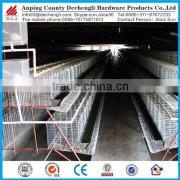 Anping factory chicken egg laying cage for farm