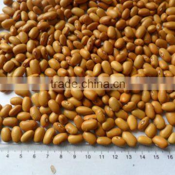 BROWN KINDNEY BEANS photo-3