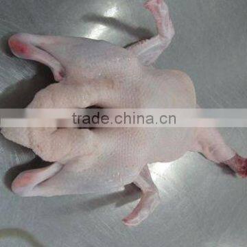 frozen whole duck