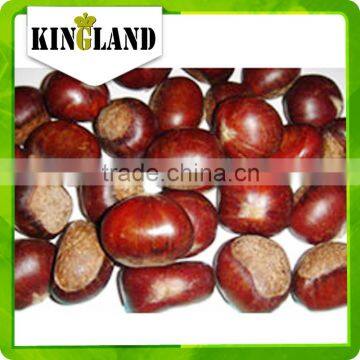 Stir-Fried Processing Type ,SnackBag,Bottle,Box,Bulk,Vacuum Pack Packaging Water bulk2015 new crop chinese fresh Chestnut