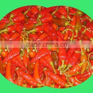 Good Quality Canned Pickled Red Chili Pepper photo-4