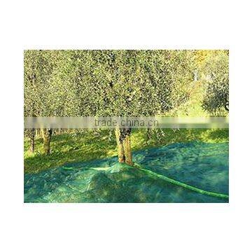 OLIVE - FALLING FRUIT HARVESTING NETS