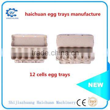 Paper Mold Pulp Egg Tray Packaging photo-5