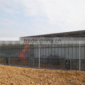 Commercial Green House(ISO9001:2008) photo-3