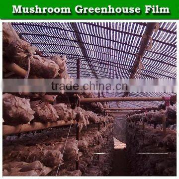 Agricultural Anti Aging uv Protection Greenhouse Plastic Film for Mushroom Growing photo-4
