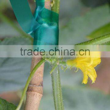 Colorful PVC Plastic Garden Tape photo-4