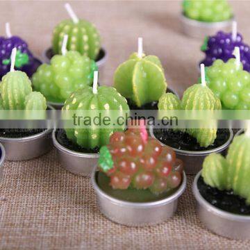 Cactus and Grape Plant Birthday Scented Candle photo-6