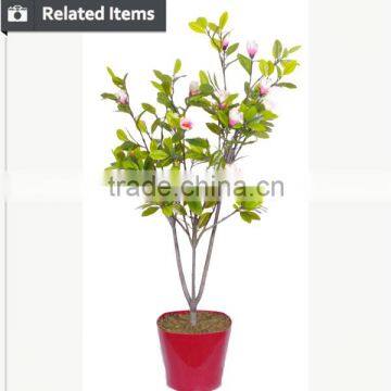 Artificial Evergreen Ornamental Plants Plastic Tree for Home Decorative Use photo-4