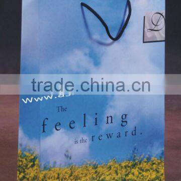 Promotion Art Paper Bag photo-2