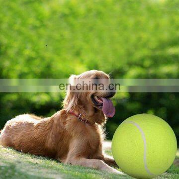 9.5" Giant Tennis Ball for Sports Pet Toys