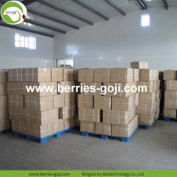 Factory Supply Nutrition Dried Lycium Barbarum photo-5