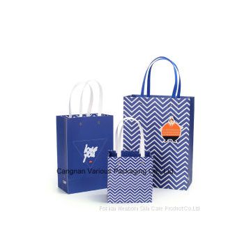 OEM Custom Printed Paper Bag/Shopping Bag /Packaging Bag/Carrier Bag with Handle (BG3002)