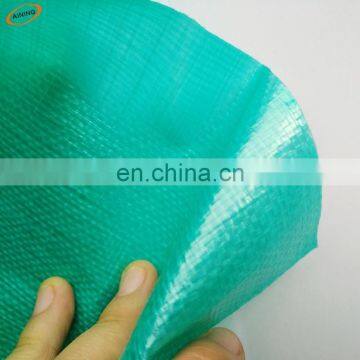 Waterproof and high strength eyelet PE Tarpaulin