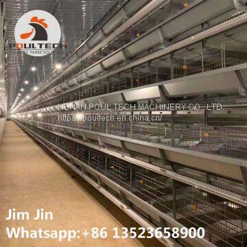 5 Tiers Layer Chicken Cage With Full Automatic Equipment photo-3