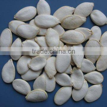 Snow white Pumpkin Seeds