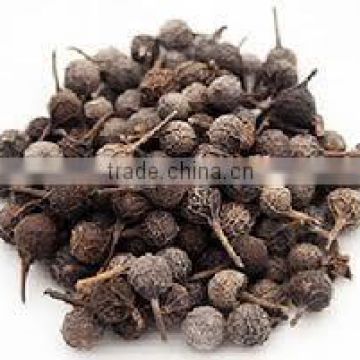 Premium Embelia Ribes for Export