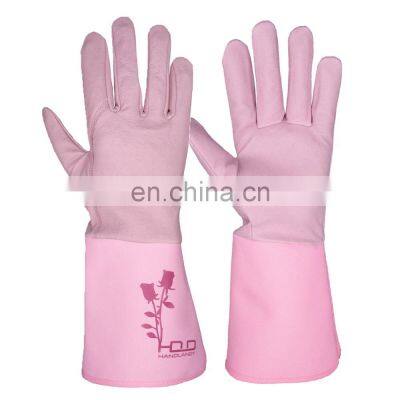 HDD in stock garden home improve  light duty work general use pigskin leather ladies' grardening glove