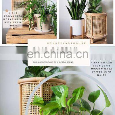 Cheapest Price Rattan Webbing Roll Width 100% 1/2 Open Weaving Mesh Raw Rattan Cane Webbing Materials From Wholesales photo-5