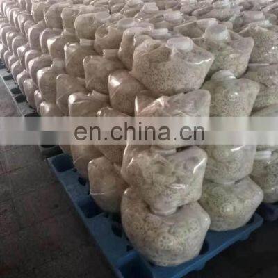 Sinocharm BRC-A Approved New Crop Salted Lotus Roots Slices