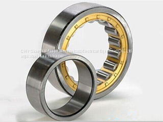 Cylindrical Roller Bearings NU304 NU305 NU306 NU307 NU308 NU309 NU310 NU311 NU312 NU313 NU314