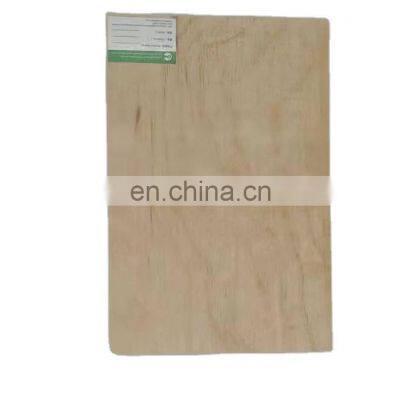 plywood board  okoume   covered poplar core and best price from chengxin wood factory