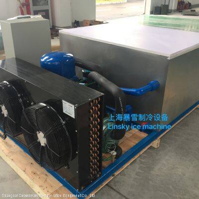 2 Ton 304 Stainless Steel Tank Block Ice Small Size Ice Block Making Machine photo-3