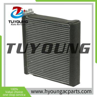 TUYOUNG China manufacture Auto air conditioning evaporator core for Mazda 3 5, 2491010, HY-ET178