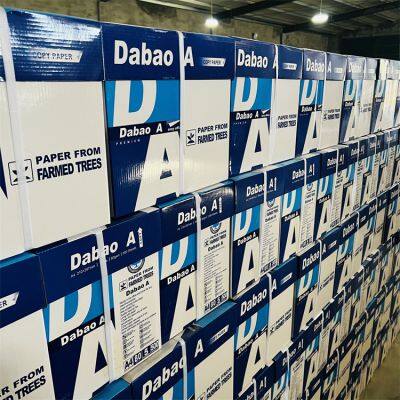 Cheap Price Double A Printer Paper A4 Paper 70 75 80 Gsm Copy Paper With A4 Size MAIL+kala@sdzlzy.com photo-5