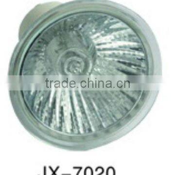 Fujian bulbs with good quality and lower price