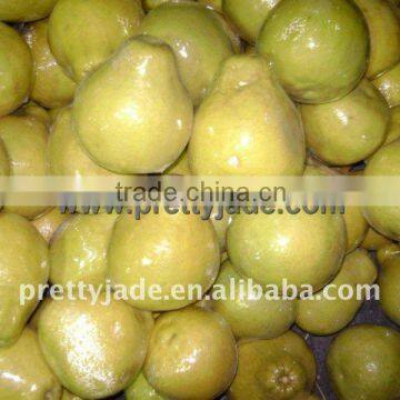 Best price fresh Pomelo