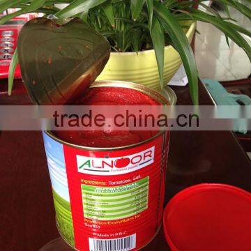 Factory Supply High Concentrated 70g-3KG CANNED TOMATO PASTE photo-2