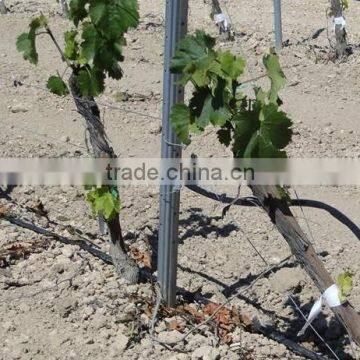 Best price of stake wine trellising