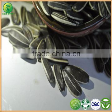 Big Size Bakery Sunflower Seeds from China