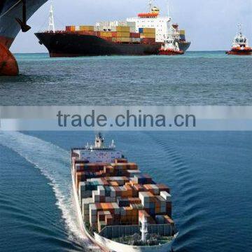 Door to door shipping service freight forwarder international shipping rate from China to USA- website:shitou_0308