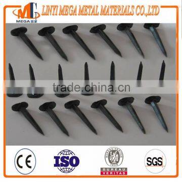 export best-seling three star brand shoe tacks