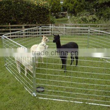 Steel galvanized sheep stockyards/sheep panels/Portable sheep yards