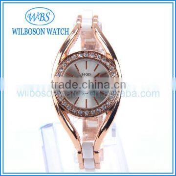 2013 fashion luxury watch luxury watch for lady with plastic