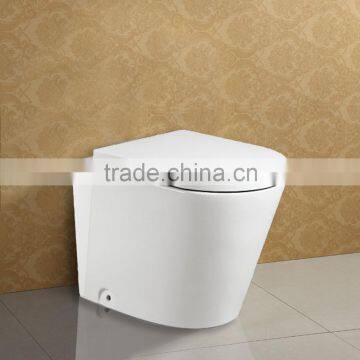 Concealed Tank Floor Mounted Toilet